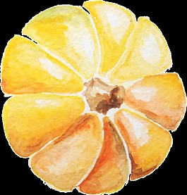 太陽(yáng)南瓜卡通透明素材