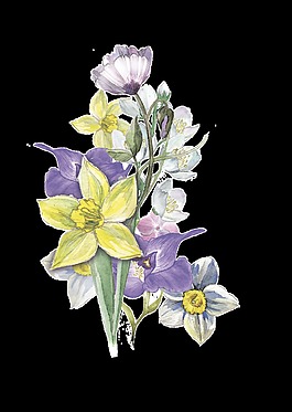 紫黃花束卡通透明素材