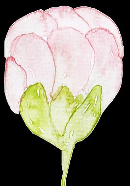 重叠花蕾卡通透明素材