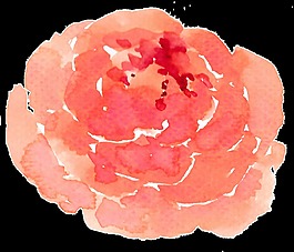 舞蹈花蕾卡通透明素材