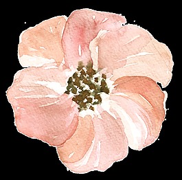 旋涡花蕊卡通透明素材
