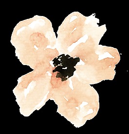 彩繪花葉卡通透明素材
