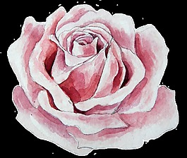 重疊花蕊卡通透明素材