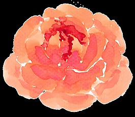 彩蛋花心卡通透明素材
