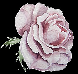 紫色花蕊卡通透明素材