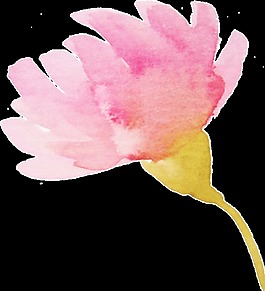 彩繪花束卡通透明素材
