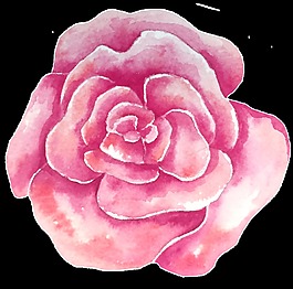粉嫩花朵卡通透明素材