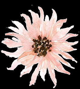 燦爛花蕊卡通透明素材