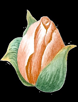 半開花心卡通透明素材