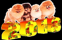 2018狗狗立體藝術字