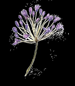 紛紫花葉卡通透明素材