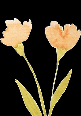水彩花枝卡通透明素材