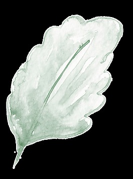 原液枝葉卡通透明素材