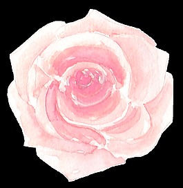 旋轉(zhuǎn)花蕾卡通透明素材