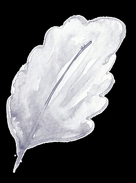 紫白花葉卡通透明素材