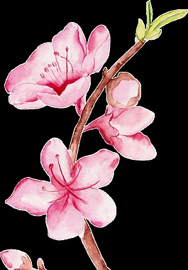 桃心花束卡通透明素材
