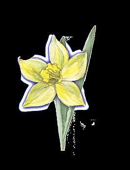 全黃花葉卡通透明素材