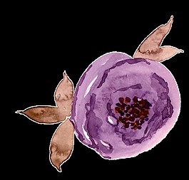 柿子花蕊卡通透明素材
