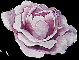 百事紫花蕊卡通透明素材