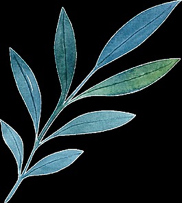 藍(lán)色枝葉卡通透明素材