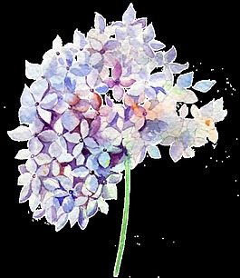 粉彩花蕊卡通透明素材