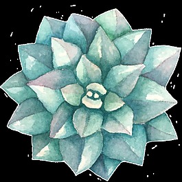 綻放花蕾卡通透明素材