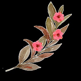 點(diǎn)點(diǎn)花蕾卡通透明素材