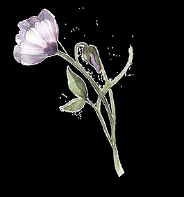 蝴蝶紫花卡通透明素材