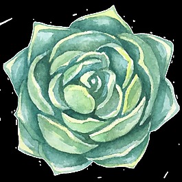 黃綠花蕊卡通透明素材