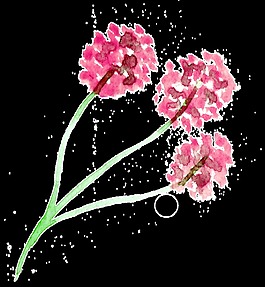 粉嫩花束卡通透明素材