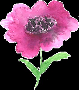 紫邊花蕾卡通透明素材