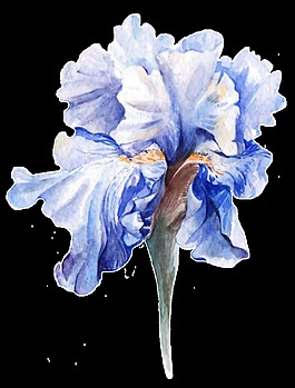 淡藍花蕊卡通透明素材