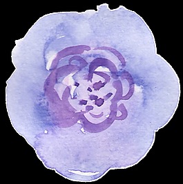 紫果凍花卡通透明素材