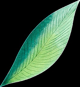 動(dòng)力藍(lán)樹葉卡通透明素材