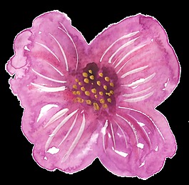 白紋花蕊卡通透明素材