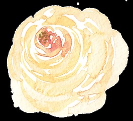 紅心花蕊卡通透明素材