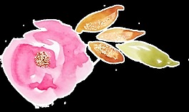 飞叶花束卡通透明素材