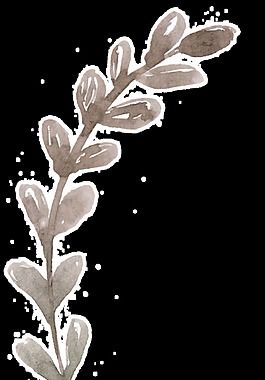 棕黑花叶卡通透明素材