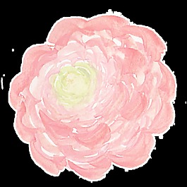 日光花蕊卡通透明素材