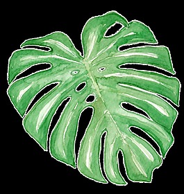 璀璨葉片卡通透明素材