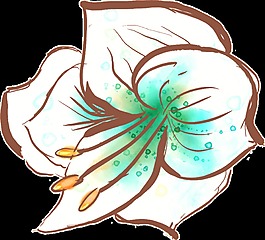 棕紋花葉卡通透明素材