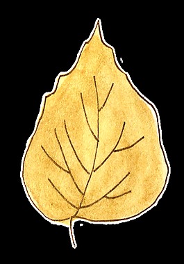 金秋枝葉卡通透明素材