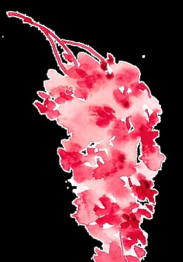 風火花束卡通透明素材