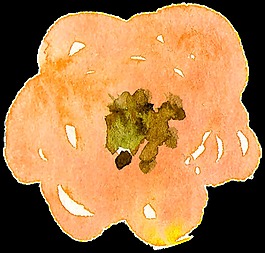 藝術(shù)花蕾卡通透明素材