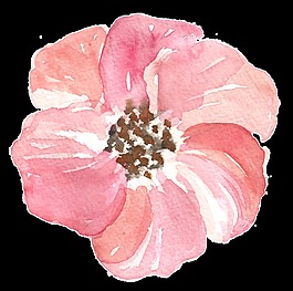 粉嫩花蕾卡通透明素材