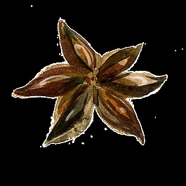 茴香卡通透明素材