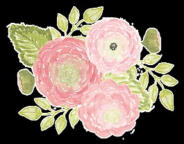 優(yōu)雅花卉卡通透明素材