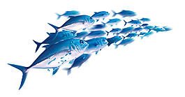 藍(lán)色海洋魚群png元素素材