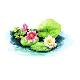 彩繪荷花png元素素材