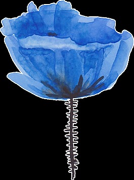 藍(lán)色漸變花卉卡通透明素材